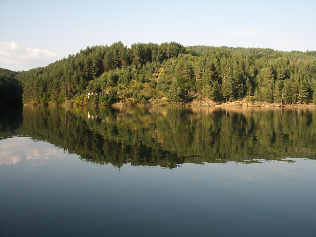 Hotel Manastir Берово Екстер'єр фото